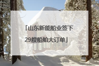 山东新能船业签下29艘船舶大订单