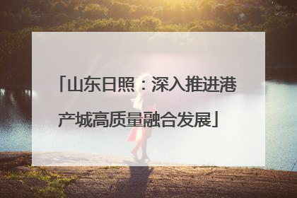 山东日照：深入推进港产城高质量融合发展