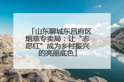 山东聊城东昌府区烟草专卖局：让“志愿红”成为乡村振兴的亮丽底色