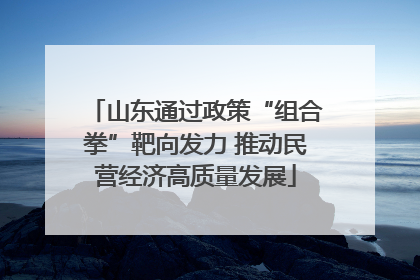 山东通过政策“组合拳”靶向发力 推动民营经济高质量发展