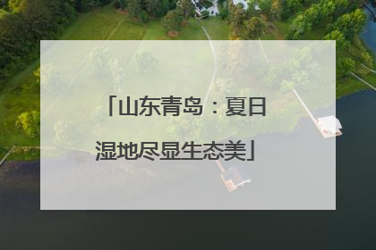 山东青岛：夏日湿地尽显生态美