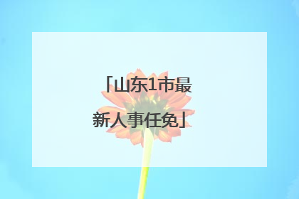 山东1市最新人事任免