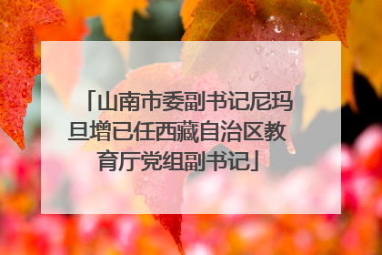 山南市委副书记尼玛旦增已任西藏自治区教育厅党组副书记