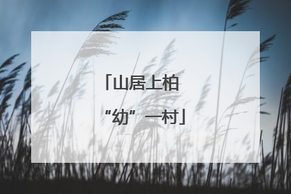 山居上柏 “幼”一村