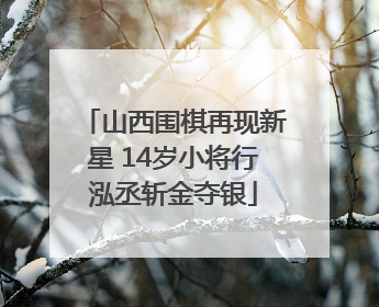 山西围棋再现新星 14岁小将行泓丞斩金夺银