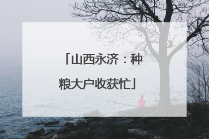 山西永济：种粮大户收获忙