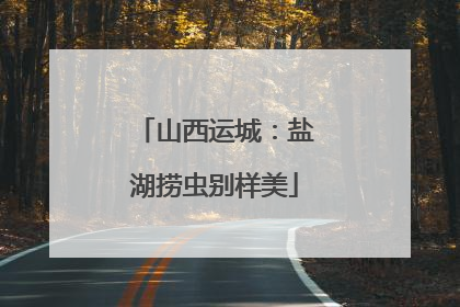 山西运城：盐湖捞虫别样美