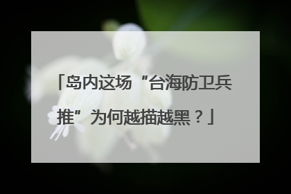 岛内这场“台海防卫兵推”为何越描越黑？