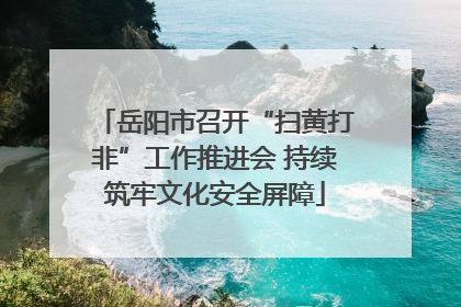 岳阳市召开“扫黄打非”工作推进会 持续筑牢文化安全屏障