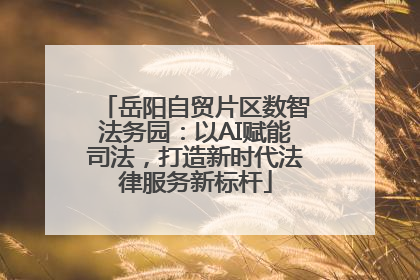 岳阳自贸片区数智法务园：以AI赋能司法，打造新时代法律服务新标杆