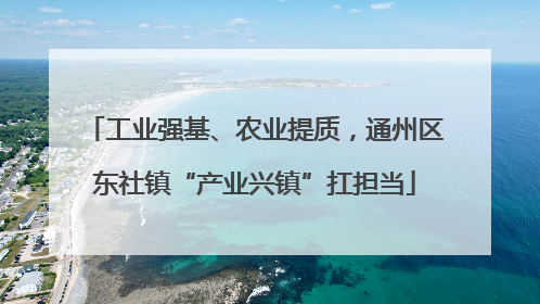 工业强基、农业提质，通州区东社镇“产业兴镇”扛担当