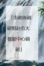 市政协调研组赴市大数据中心调研