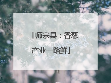 师宗县：香葱产业一路鲜