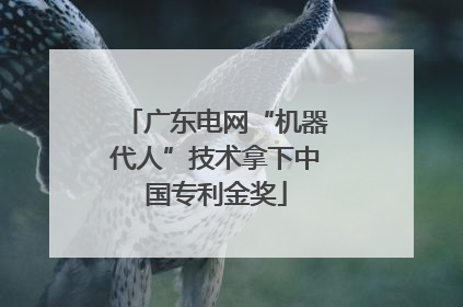 广东电网“机器代人”技术拿下中国专利金奖