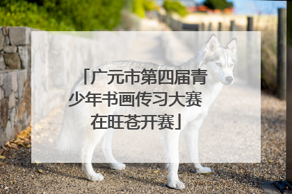 广元市第四届青少年书画传习大赛在旺苍开赛