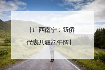 广西南宁：新侨代表共叙端午情