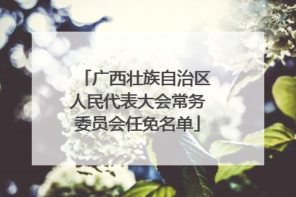 广西壮族自治区人民代表大会常务委员会任免名单