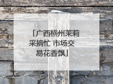 广西横州茉莉采摘忙 市场交易花香飘