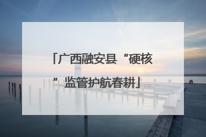 广西融安县“硬核”监管护航春耕