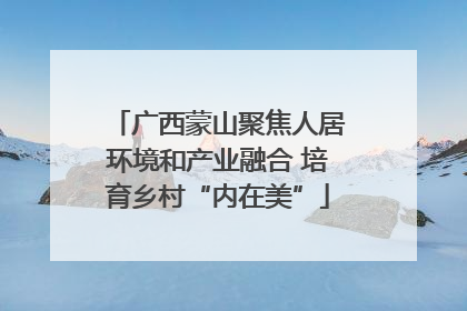 广西蒙山聚焦人居环境和产业融合 培育乡村“内在美”