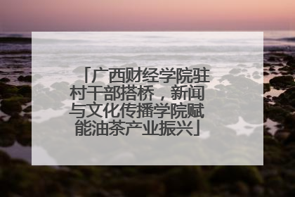 广西财经学院驻村干部搭桥，新闻与文化传播学院赋能油茶产业振兴