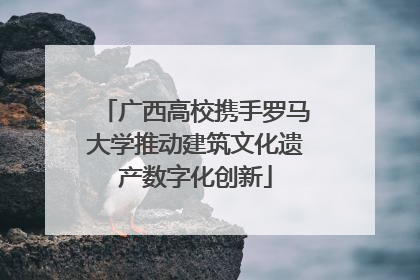 广西高校携手罗马大学推动建筑文化遗产数字化创新