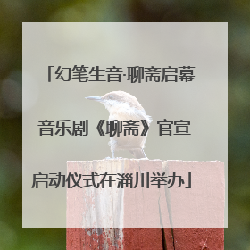 幻笔生音·聊斋启幕 音乐剧《聊斋》官宣启动仪式在淄川举办