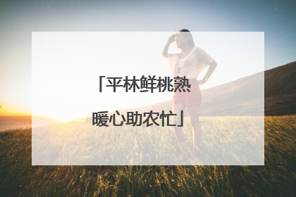平林鲜桃熟 暖心助农忙