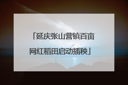 延庆张山营镇百亩网红稻田启动插秧
