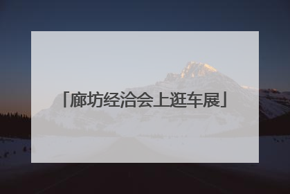 廊坊经洽会上逛车展