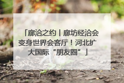 廊洽之约丨廊坊经洽会变身世界会客厅！河北扩大国际“朋友圈”