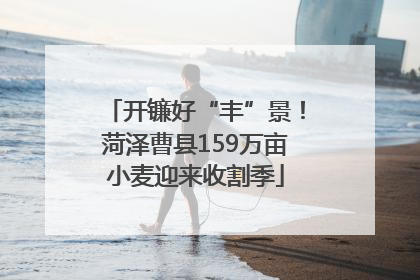 开镰好“丰”景！菏泽曹县159万亩小麦迎来收割季
