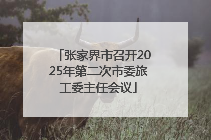 张家界市召开2025年第二次市委旅工委主任会议