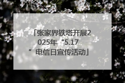 张家界铁塔开展2025年“5.17”电信日宣传活动