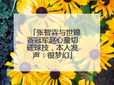 张智霖与世锦赛冠军赵心童切磋球技，本人发声：很梦幻