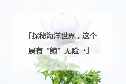 探秘海洋世界，这个展有“鲸”无险→