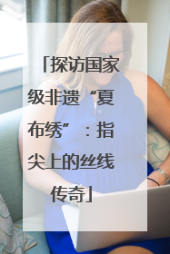 探访国家级非遗“夏布绣”：指尖上的丝线传奇