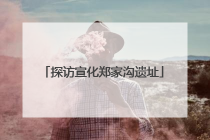 探访宣化郑家沟遗址