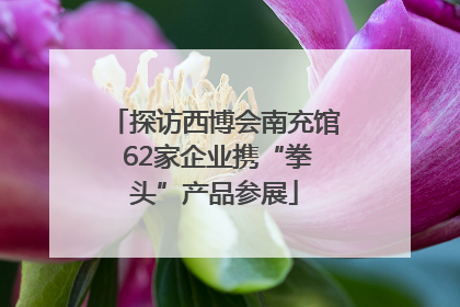 探访西博会南充馆 62家企业携“拳头”产品参展