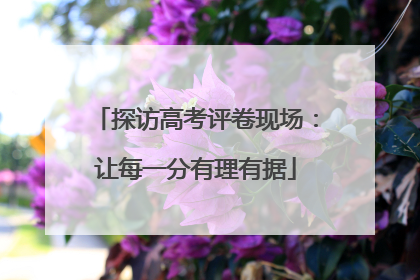 探访高考评卷现场：让每一分有理有据