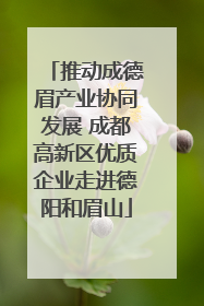 推动成德眉产业协同发展 成都高新区优质企业走进德阳和眉山