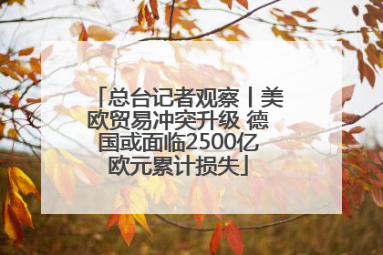 总台记者观察丨美欧贸易冲突升级 德国或面临2500亿欧元累计损失