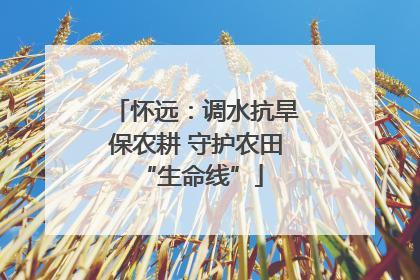 怀远：调水抗旱保农耕 守护农田 “生命线”