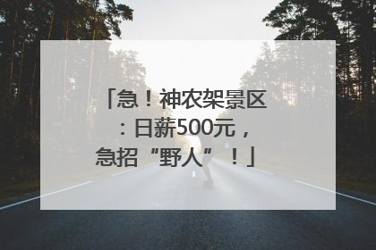 急！神农架景区：日薪500元，急招“野人”！