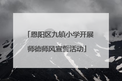 恩阳区九镇小学开展师德师风宣誓活动