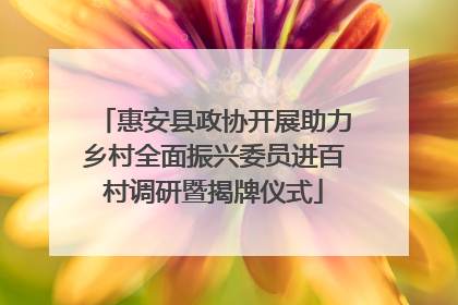 惠安县政协开展助力乡村全面振兴委员进百村调研暨揭牌仪式