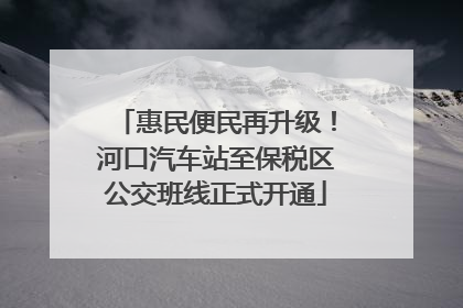 惠民便民再升级！河口汽车站至保税区公交班线正式开通