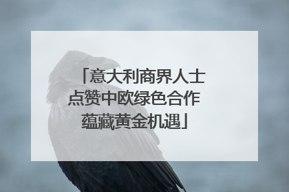 意大利商界人士点赞中欧绿色合作蕴藏黄金机遇