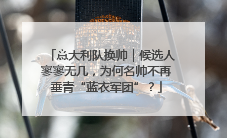 意大利队换帅｜候选人寥寥无几，为何名帅不再垂青“蓝衣军团”？