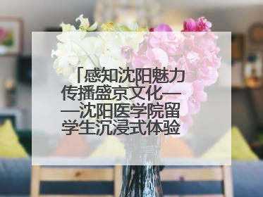 感知沈阳魅力传播盛京文化——沈阳医学院留学生沉浸式体验沈阳文旅特色